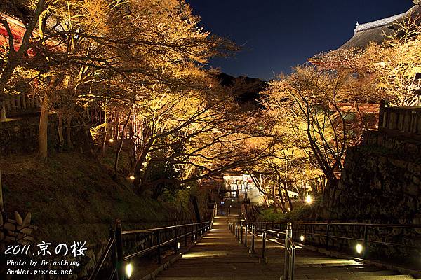 2011.春.清水寺夜櫻