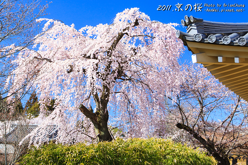 醍醐寺 靈寶館