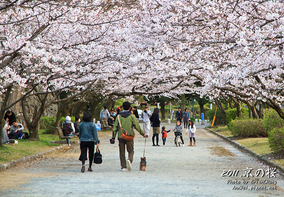 福岡 舞鶴公園