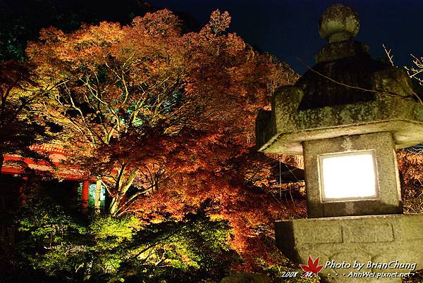 清水寺夜の特別拝観