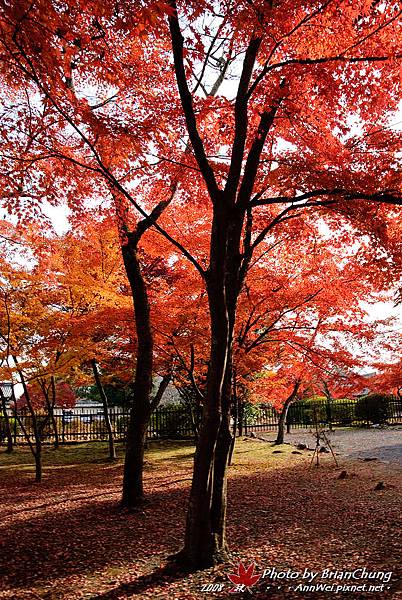 天龍寺外庭園