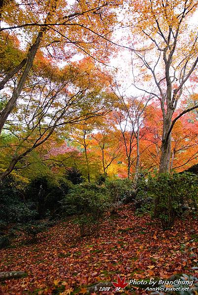 常寂光寺