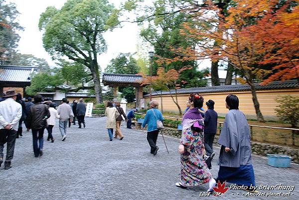 金閣寺 參道