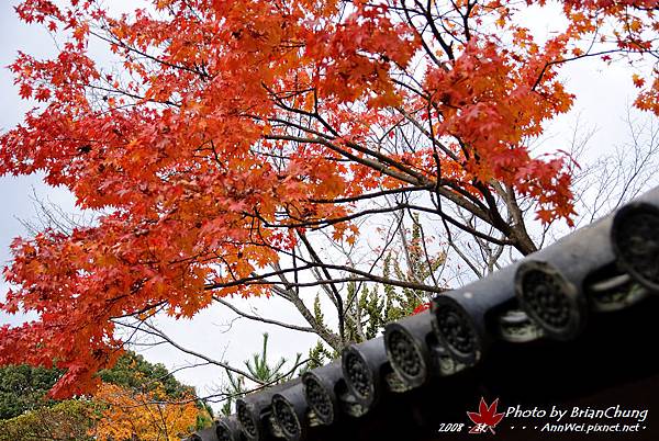 高台寺-屋簷