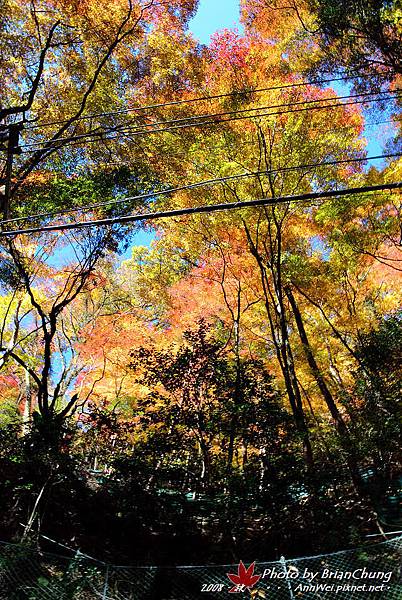 箕面国定公園