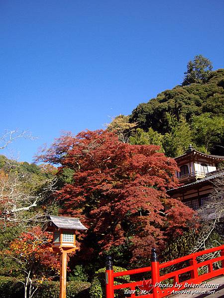 箕面-瀧安寺 瑞雲橋(DC)