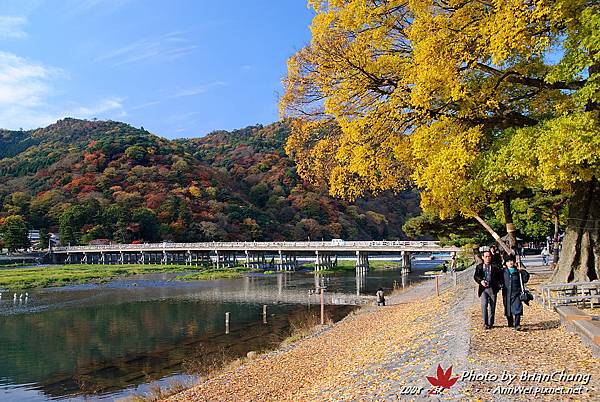 嵐山-渡月橋