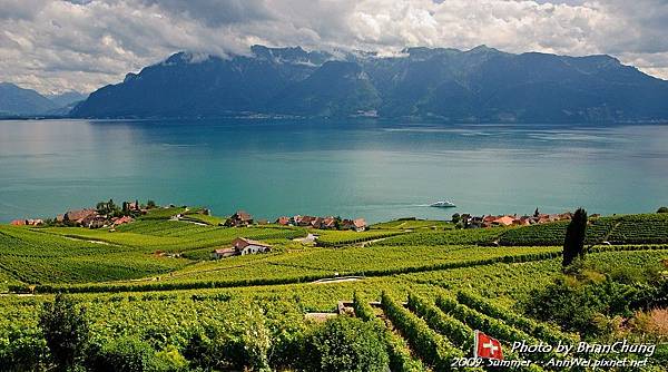 Lavaux terraced vineyards