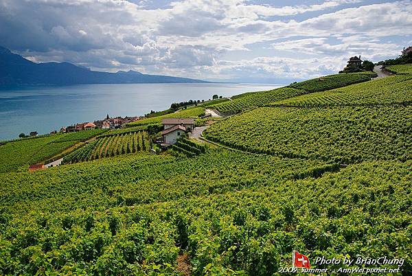 Lavaux terraced vineyards