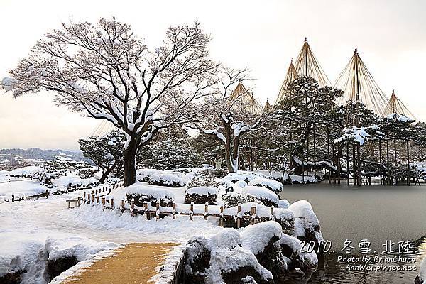 霞ヶ池 唐崎松 雪吊