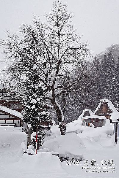 冬雪景色