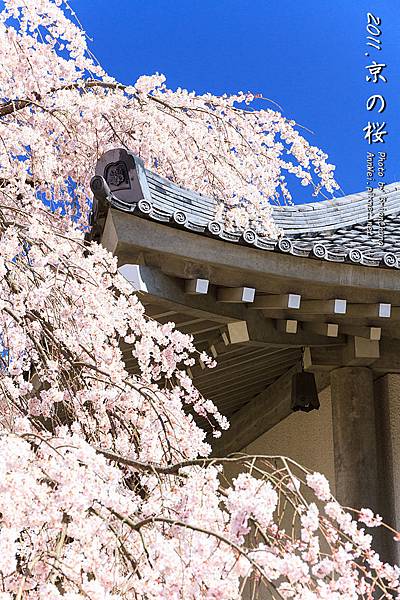 醍醐寺 靈寶館