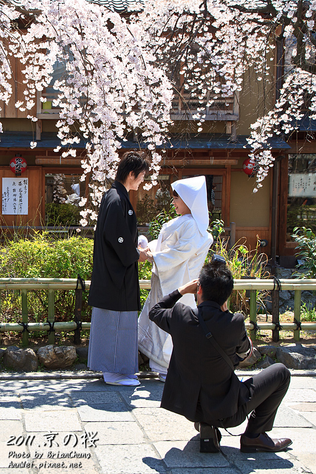 祇園 白川