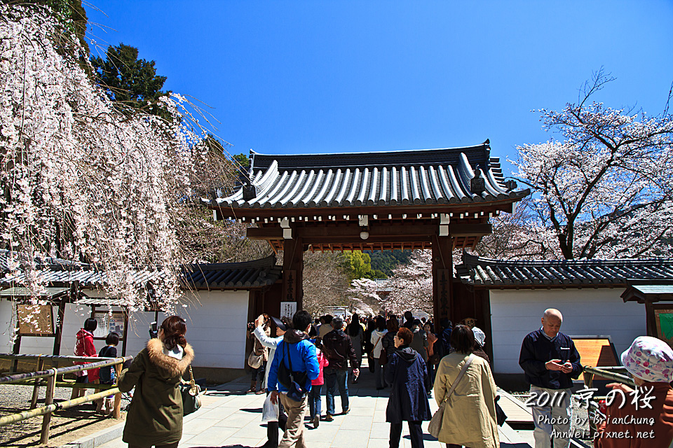 醍醐寺 