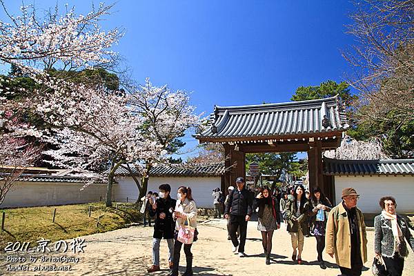 醍醐寺