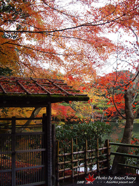 金閣寺