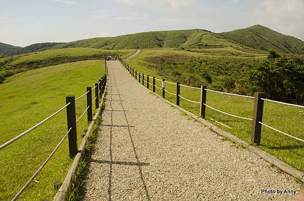 陽明山擎天崗