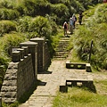 陽明山擎天崗