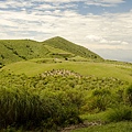 陽明山擎天崗