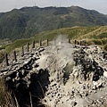 陽明山七星山步道 (15)