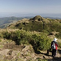 陽明山七星山步道 七星山東峰