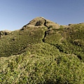 陽明山七星山步道 七星山東峰