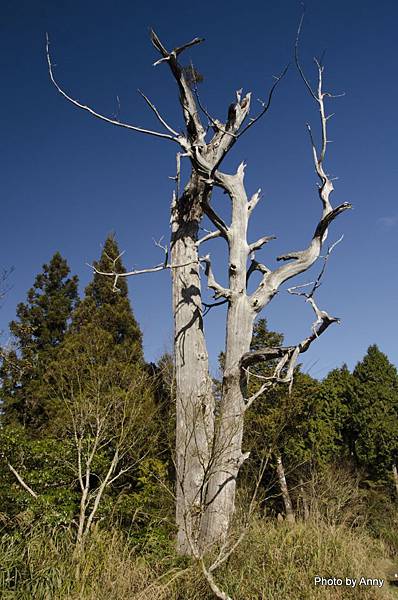 宜蘭翠峰湖 (1)