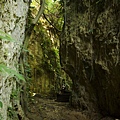 小琉球 山豬溝生態步道 (14).jpg