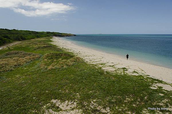 澎湖 菊島 果葉 (3).jpg