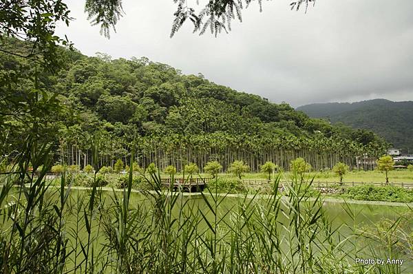 宜蘭望龍埤頭 (9).jpg