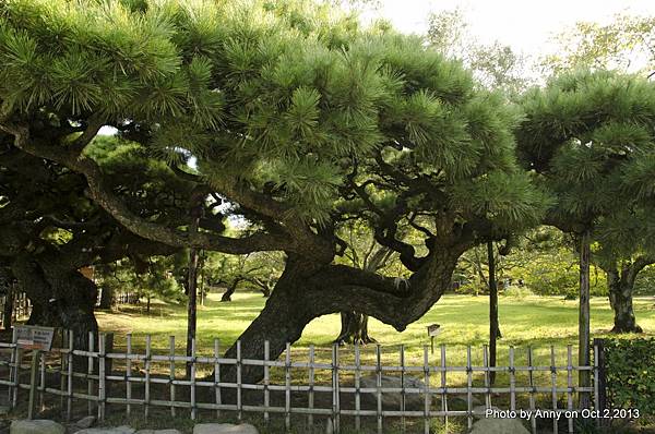 栗林公園 日本香山縣 (9).jpg