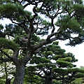 栗林公園 日本香山縣 (35).jpg