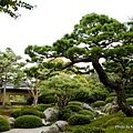 由志園牡丹花園 (2).jpg