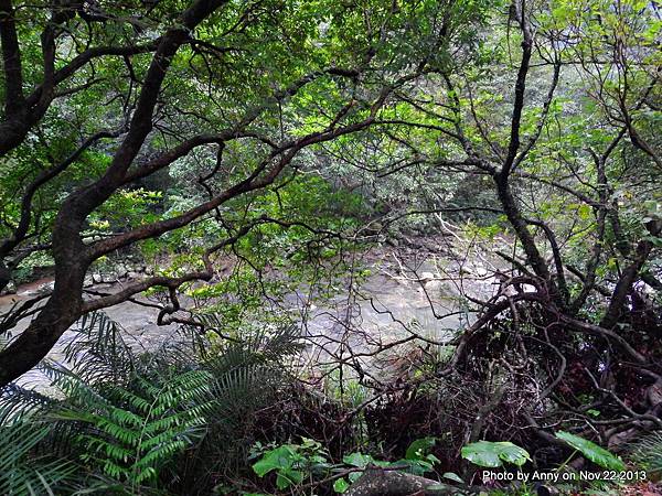 草嶺古道 (10).jpg