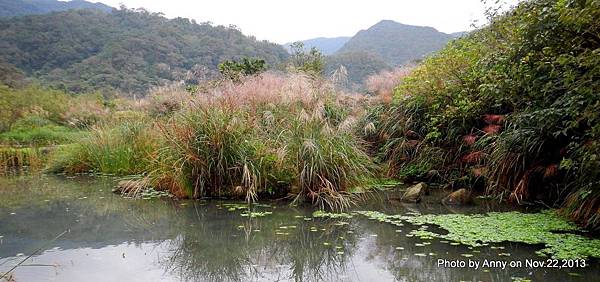 草嶺古道 望遠坑親水步道