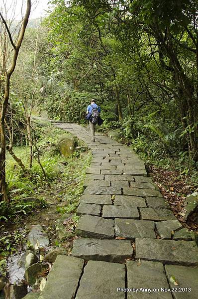 草嶺古道 (32).jpg