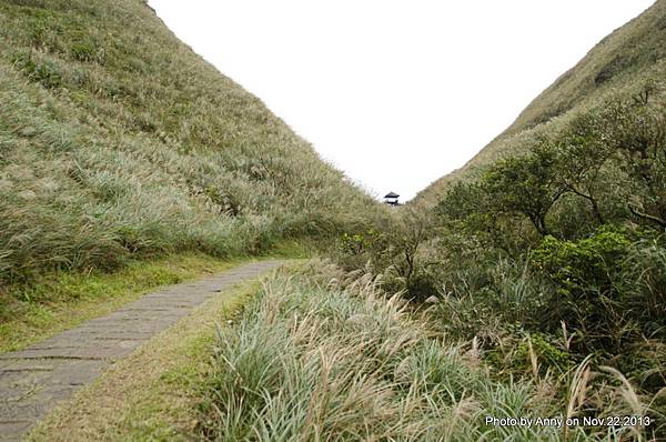 草嶺古道 鞍部 