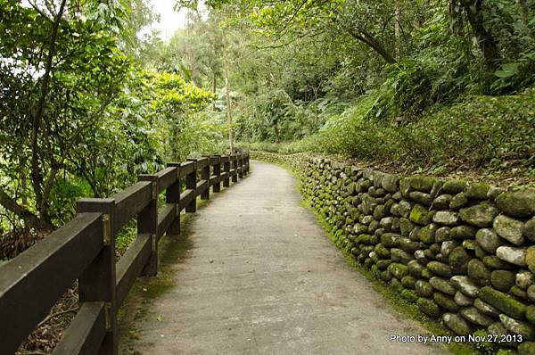 坪林觀魚步道 (42)