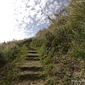 面天山─向天山步道 (12).jpg