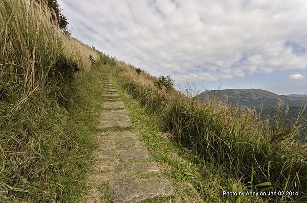 面天山─向天山步道 (13).jpg