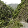 Taroko National Park 太魯閣國家公園 白楊步道 (19).jpg