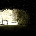 Taroko National Park 太魯閣國家公園 白楊步道 (26).jpg