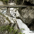 Taroko National Park 太魯閣國家公園 白楊步道 (32).jpg