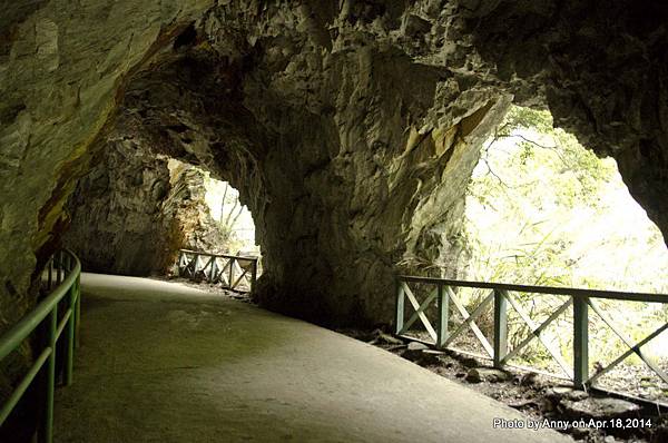 Taroko National Park 太魯閣國家公園 白楊步道 (39).jpg