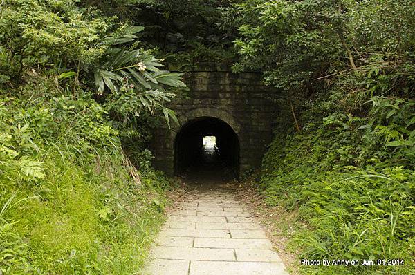 茶壺山登山步道 (1).jpg