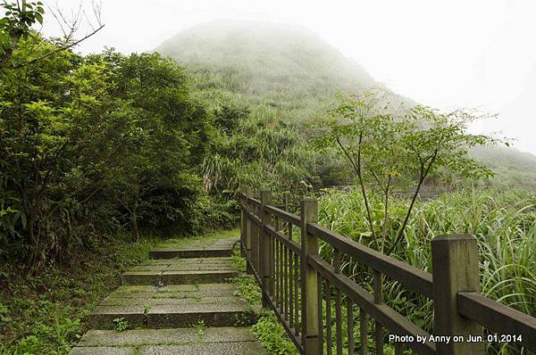 茶壺山登山步道 (6).jpg