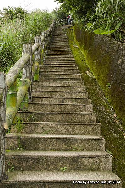 茶壺山登山步道 (9).jpg