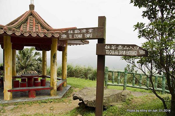 茶壺山登山步道 (16).jpg