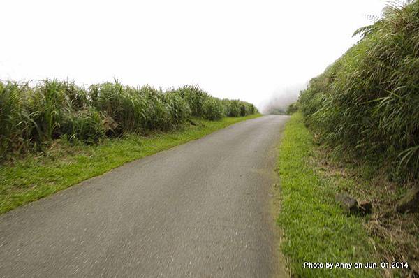 茶壺山登山步道 (18).jpg