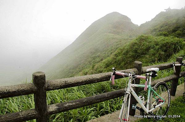 茶壺山登山步道 (21).jpg